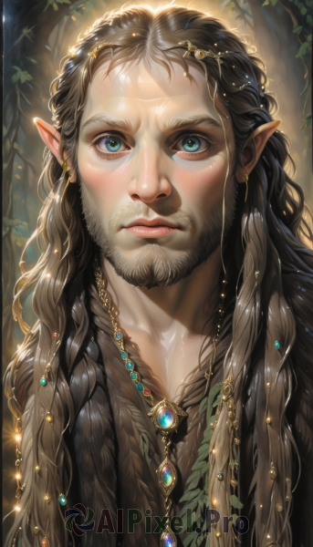 solo,long hair,looking at viewer,blue eyes,brown hair,black hair,1boy,jewelry,closed mouth,upper body,braid,male focus,earrings,pointy ears,artist name,signature,necklace,tree,lips,eyelashes,sparkle,facial hair,leaf,plant,elf,gem,portrait,nature,beard,pendant,forest,glint,realistic,nose,fantasy,gold,hair ornament,watermark,curly hair,multiple braids