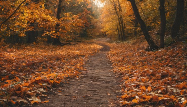 The beauty of a landscape set in a captivating day