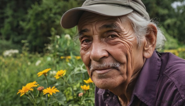 solo,looking at viewer,smile,shirt,1boy,hat,closed mouth,jacket,flower,white hair,grey hair,male focus,outdoors,day,collared shirt,blurry,black eyes,blurry background,facial hair,white headwear,portrait,baseball cap,realistic,yellow flower,mustache,purple jacket,old,old man,old woman,wrinkled skin,upper body,striped,signature,grey eyes,depth of field,grass,striped shirt,purple shirt