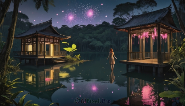 1girl,solo,long hair,brown hair,black hair,standing,nude,outdoors,sky,barefoot,water,from behind,tree,night,grass,plant,building,star (sky),nature,night sky,scenery,starry sky,reflection,lantern,architecture,house,fireworks,east asian architecture,ripples,lake,pond,aerial fireworks,reflective water,dress,petals,leaf,cherry blossoms,walking,facing away,lily pad