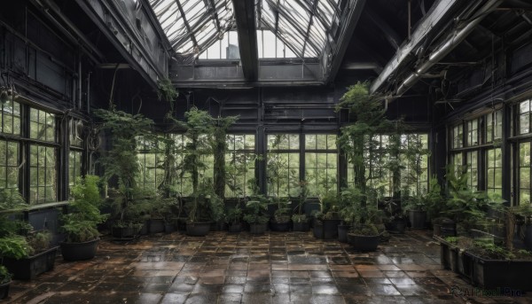A majestic day featuring a indoors
