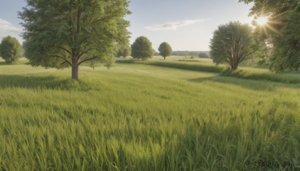 A landscape amidst a vivid day