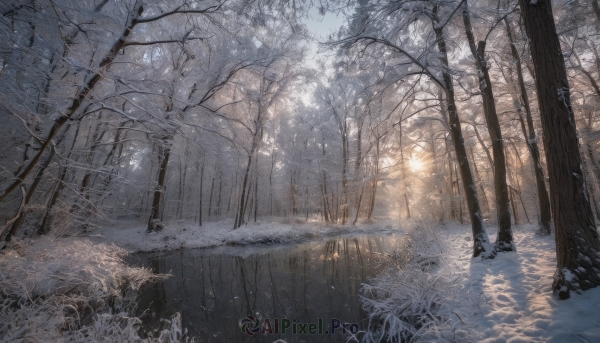 outdoors, tree, dutch angle, no humans, sunlight, grass, nature, scenery, snow, forest, winter, bare tree, path