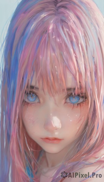 1girl,solo,long hair,looking at viewer,bangs,blue eyes,simple background,hair between eyes,closed mouth,pink hair,multicolored hair,lips,eyelashes,blue background,portrait,close-up,eye focus,makeup,freckles,pink lips,nose