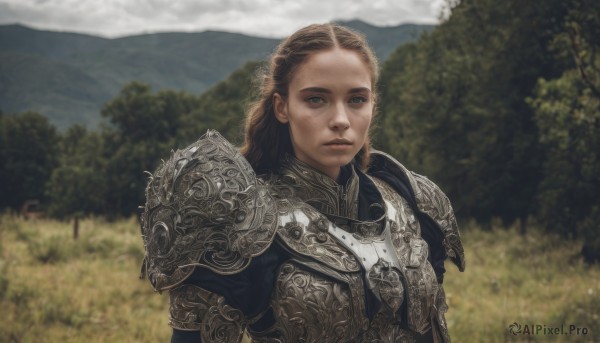 1girl,solo,long hair,looking at viewer,blue eyes,blonde hair,brown hair,closed mouth,upper body,outdoors,sky,day,armor,blurry,tree,lips,blurry background,shoulder armor,nature,forest,pauldrons,breastplate,mountain,realistic,chainmail,plate armor,cloud,depth of field,grass,scenery,forehead