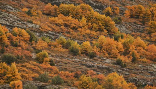 outdoors,day,water,tree,no humans,leaf,traditional media,nature,scenery,forest,painting (medium),autumn leaves,river,autumn,orange theme,artist name,from above,landscape