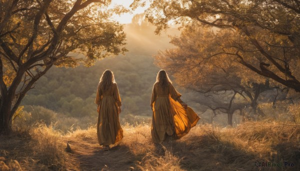 long hair,multiple girls,brown hair,long sleeves,dress,2girls,standing,outdoors,sky,day,cloud,from behind,tree,sunlight,grass,nature,scenery,forest,walking,robe,light rays,facing away,sunbeam,black hair,dappled sunlight