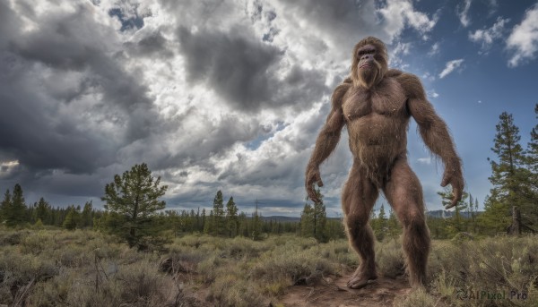 solo,open mouth,1boy,standing,male focus,nude,outdoors,sky,day,cloud,tree,no humans,muscular,cloudy sky,grass,nature,scenery,forest,monster,realistic,giant,horror (theme),chest hair,kaijuu