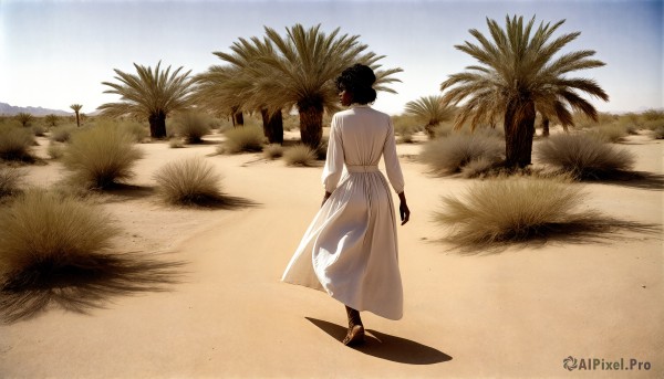 HQ,1girl,solo,short hair,black hair,long sleeves,1boy,dress,standing,full body,male focus,outdoors,sky,day,from behind,white dress,tree,see-through,shadow,beach,sandals,walking,sand,palm tree,facing away,desert,footprints,dark skin,dark-skinned female,wide shot,very dark skin,see-through silhouette