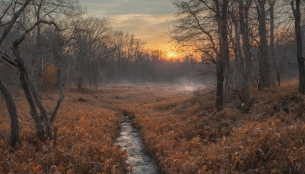 The timeless beauty of a landscape in a bold sunset outdoors