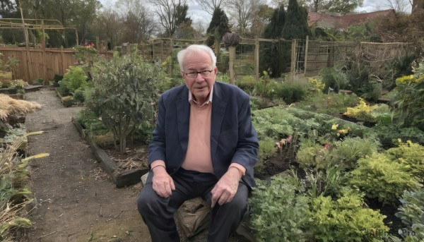 solo,short hair,shirt,long sleeves,1boy,sitting,closed mouth,jacket,closed eyes,white hair,male focus,outdoors,open clothes,glasses,day,pants,sweater,open jacket,tree,black jacket,facial hair,black pants,plant,nature,scenery,facing viewer,beard,cigarette,realistic,fence,old,old man,photo background,wrinkled skin,looking at viewer,smile,jewelry,sky,bag,grass,blue jacket,bald