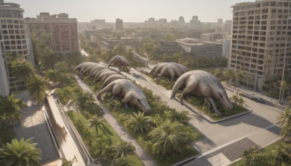 outdoors,lying,sky,day,tree,no humans,window,bird,animal,plant,ground vehicle,building,scenery,motor vehicle,city,palm tree,car,road,cityscape,ruins,street,skyscraper,overgrown,post-apocalypse,grass,realistic,pig,dinosaur