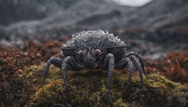 A majestic image of a monster in outdoors