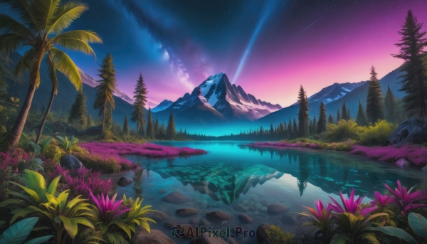 flower, outdoors, sky, water, tree, no humans, night, star (sky), nature, night sky, scenery, forest, starry sky, reflection, rock, mountain, lake, aurora