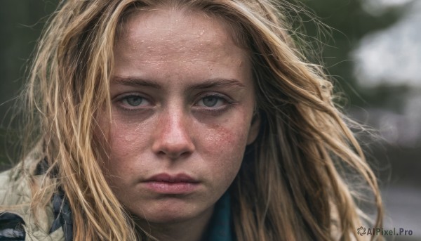 1girl,solo,long hair,looking at viewer,blonde hair,closed mouth,blurry,lips,grey eyes,depth of field,blurry background,messy hair,portrait,close-up,forehead,freckles,realistic,expressionless,wind,nose,dirty,dirty face