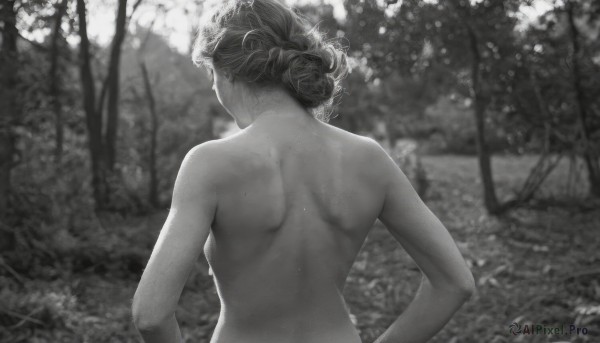 1girl,solo,breasts,monochrome,upper body,greyscale,nude,outdoors,from behind,blurry,tree,completely nude,dutch angle,depth of field,blurry background,back,single hair bun,nature,forest,hands on hips,facing away,hair up,shoulder blades,nape,median furrow,back focus,short hair,small breasts,hair bun