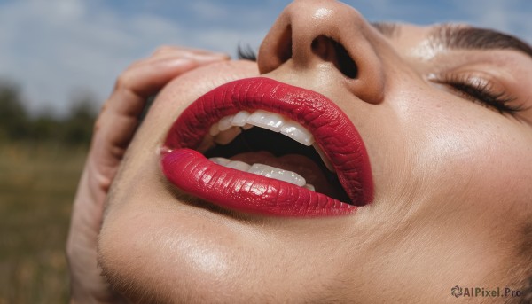 solo,open mouth,1boy,closed eyes,male focus,outdoors,sky,teeth,day,tongue,shiny,blurry,lips,no humans,depth of field,blurry background,close-up,realistic,nose,what,uvula,cloud,blue sky,animal,freckles