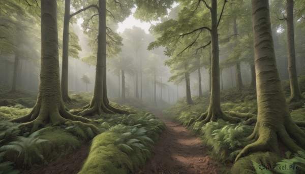 A delightful capture of a landscape within day