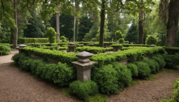 outdoors,day,tree,no humans,sunlight,grass,plant,nature,scenery,forest,road,bush,path,moss,stone lantern