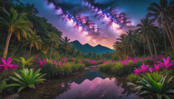 flower, outdoors, sky, cloud, water, tree, no humans, night, plant, star (sky), nature, night sky, scenery, starry sky, reflection, sunset, mountain, palm tree