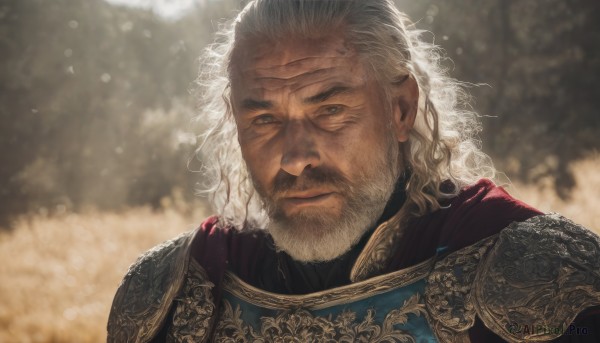 solo,long hair,looking at viewer,1boy,closed mouth,upper body,white hair,male focus,outdoors,medium hair,cape,armor,blurry,tree,depth of field,blurry background,facial hair,scar,shoulder armor,portrait,beard,scar on face,curly hair,pauldrons,breastplate,realistic,scar across eye,red cape,manly,old,old man,wrinkled skin,green eyes,grey hair,sunlight,mustache,chainmail