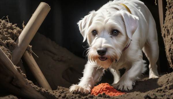 HQ,looking at viewer,black eyes,collar,no humans,animal,dog,realistic,ruins,animal focus,bone,solo,open mouth,brown eyes,tongue,black background