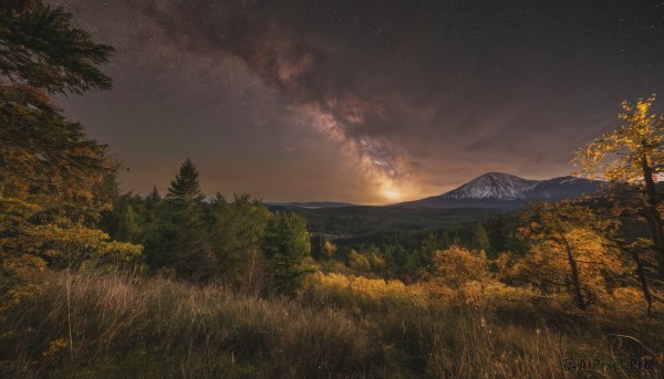 The wonder of a landscape in a picturesque sunset outdoors