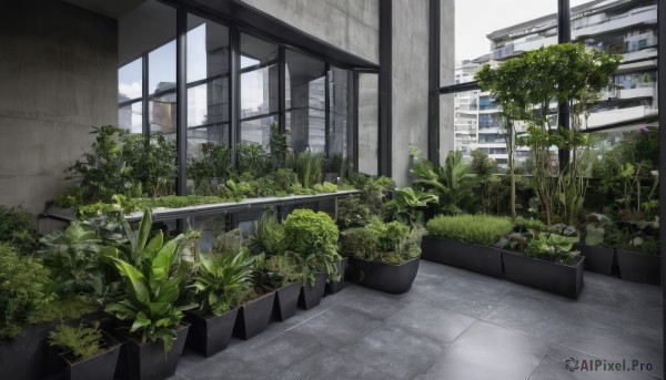 outdoors,sky,day,indoors,tree,no humans,window,plant,building,scenery,stairs,potted plant,bush,cloud,tiles,tile floor