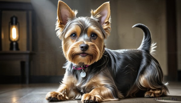 HQ,solo,looking at viewer,brown eyes,full body,tongue,indoors,tongue out,blurry,collar,no humans,depth of field,blurry background,animal,dog,realistic,animal focus,animal collar,signature,table,lamp