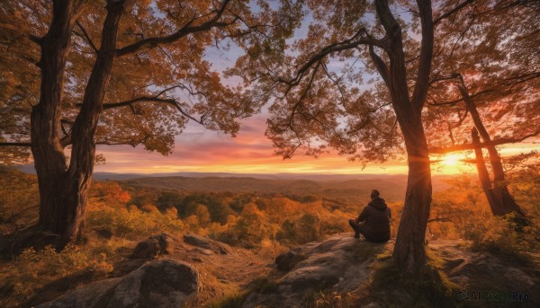 A glimpse of a male in a picturesque sunset outdoors