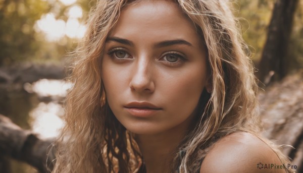 1girl,solo,long hair,looking at viewer,blonde hair,brown hair,bare shoulders,brown eyes,closed mouth,outdoors,blurry,tree,lips,grey eyes,eyelashes,depth of field,blurry background,wavy hair,portrait,close-up,freckles,curly hair,realistic,nose,nature,forest,bokeh