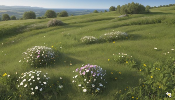 A serene day featuring a landscape