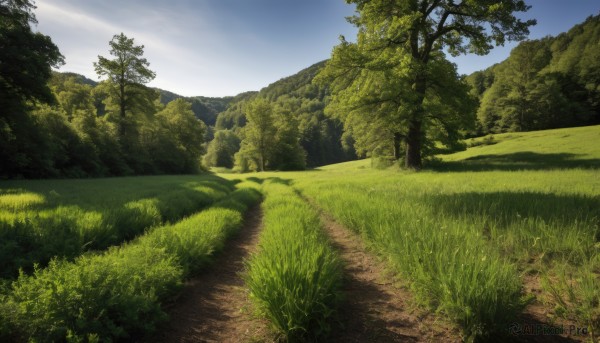 A ethereal day showcasing a landscape