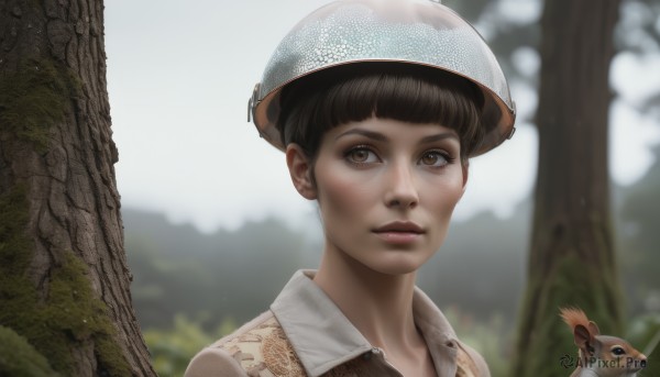 1girl,solo,looking at viewer,short hair,bangs,brown hair,shirt,black hair,1boy,hat,brown eyes,closed mouth,male focus,outdoors,day,collared shirt,blurry,tree,lips,depth of field,blurry background,animal,helmet,portrait,nature,forest,freckles,realistic,nose,blunt bangs,squirrel