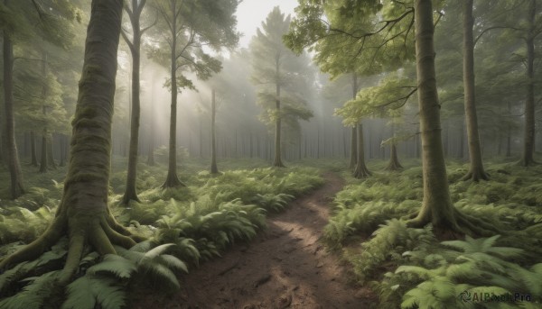 A landscape surrounded by a lush day