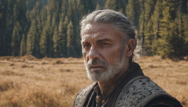 solo,looking at viewer,blue eyes,1boy,closed mouth,upper body,white hair,grey hair,male focus,outdoors,hair bun,blurry,tree,blurry background,facial hair,scar,single hair bun,portrait,nature,beard,forest,realistic,mustache,old,old man,photo background,wrinkled skin,day,armor,lips,grey eyes,scar on face,scar across eye,manly