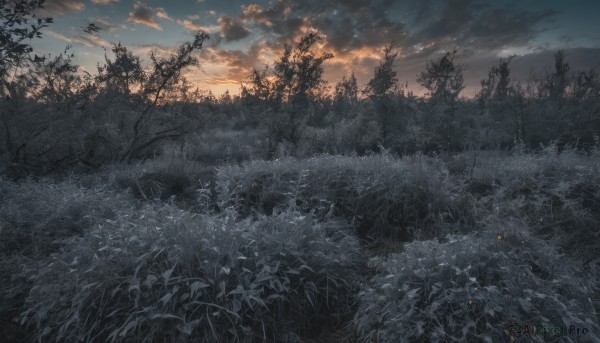 A landscape in the heart of a peaceful sunset outdoors