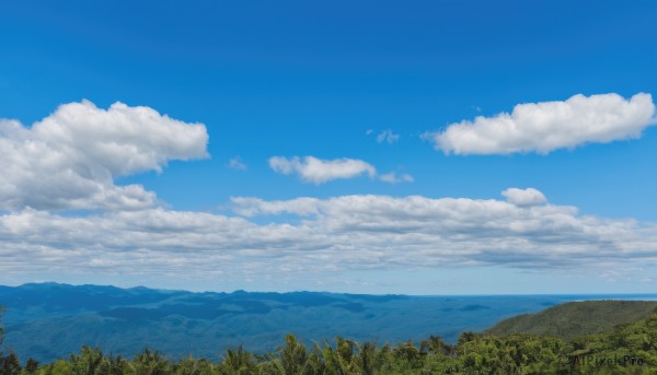 A landscape surrounded by a lush day