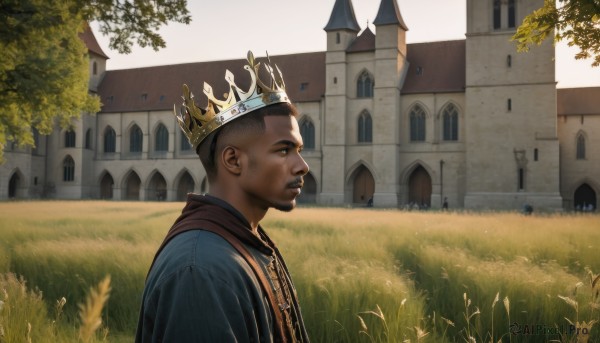 solo,short hair,brown hair,1boy,upper body,male focus,outdoors,day,dark skin,from side,tree,profile,facial hair,dark-skinned male,grass,crown,building,scenery,robe,house,castle,black hair,brown eyes,parted lips,teeth,thick eyebrows,realistic,very short hair