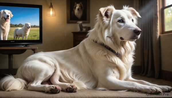 A vivid day highlighting a dog