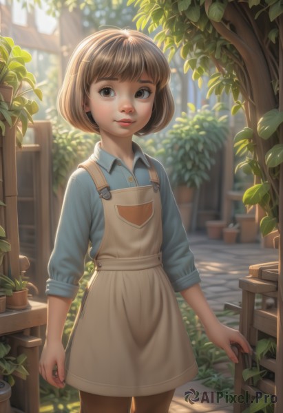 1girl,solo,looking at viewer,short hair,bangs,brown hair,shirt,long sleeves,brown eyes,standing,pantyhose,cowboy shot,outdoors,parted lips,day,collared shirt,blurry,apron,tree,lips,depth of field,leaf,sunlight,bob cut,blue shirt,plant,wing collar,sleeves rolled up,backlighting,brown pantyhose,nose,potted plant,overalls,smile,hair ornament,hairclip,freckles,realistic,fence