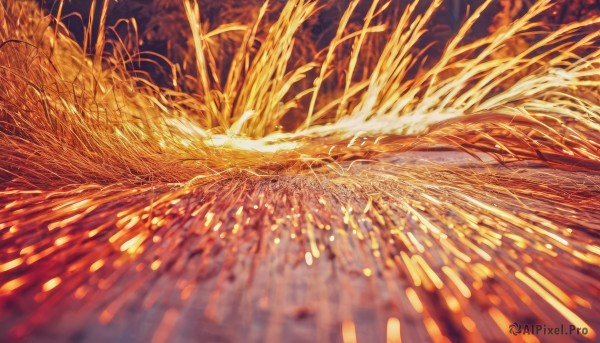 solo,outdoors,sky,blurry,no humans,depth of field,glowing,fire,scenery,reflection,red theme,orange theme,wheat,pokemon (creature),orange background,yellow theme