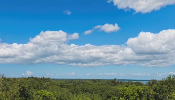 A landscape captured beautifully in a tranquil day