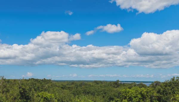 outdoors,sky,day,cloud,water,tree,blue sky,no humans,ocean,cloudy sky,grass,nature,scenery,forest,horizon,field,summer,landscape,hill