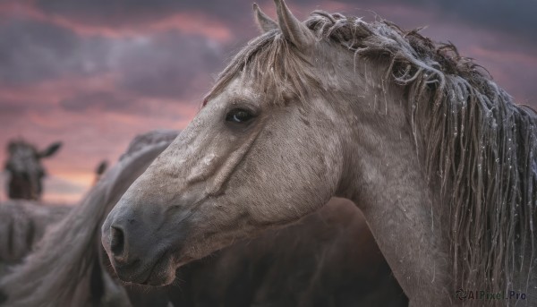 Image of a male in a beautiful sunset outdoors