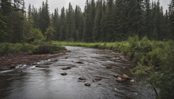 outdoors,sky,day,cloud,water,tree,no humans,cloudy sky,grass,nature,scenery,forest,rock,road,bush,river,landscape,puddle,grey sky,path,mountain