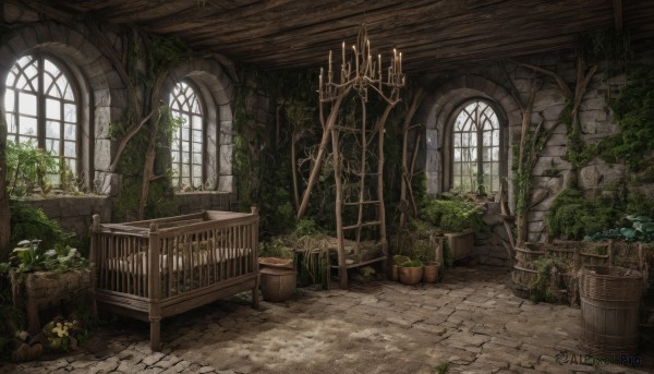 flower,day,indoors,tree,no humans,window,chair,sunlight,plant,scenery,stairs,door,potted plant,ruins,vines,flower pot,moss,barrel,overgrown,crate,wood,table,fantasy,candle,arch,stone wall