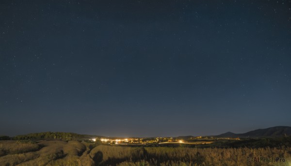 outdoors,sky,tree,no humans,night,grass,star (sky),nature,night sky,scenery,starry sky,horizon,field,river,landscape,city lights,hill,rock