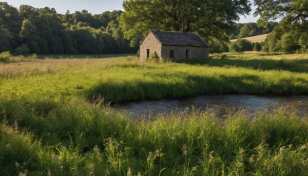A dynamic view of a landscape in day