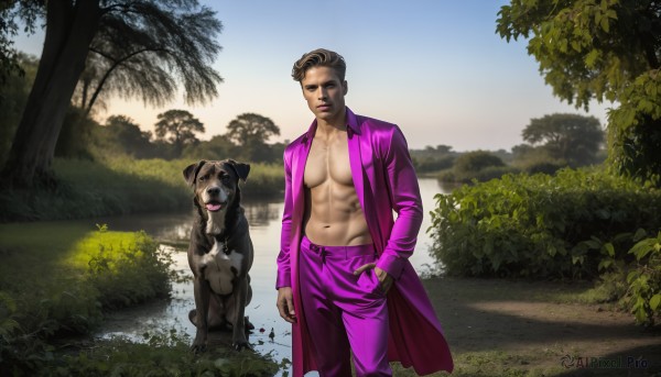 HQ,solo,looking at viewer,short hair,brown hair,shirt,long sleeves,1boy,navel,holding,closed mouth,standing,jacket,male focus,outdoors,open clothes,day,pants,water,black eyes,tree,coat,open shirt,muscular,animal,abs,pectorals,reflection,walking,dog,hand in pocket,realistic,pink jacket,bare pectorals,river,purple pants,pink pants,pink coat,sky,tongue,formal,grass,plant,nature,bush,long coat